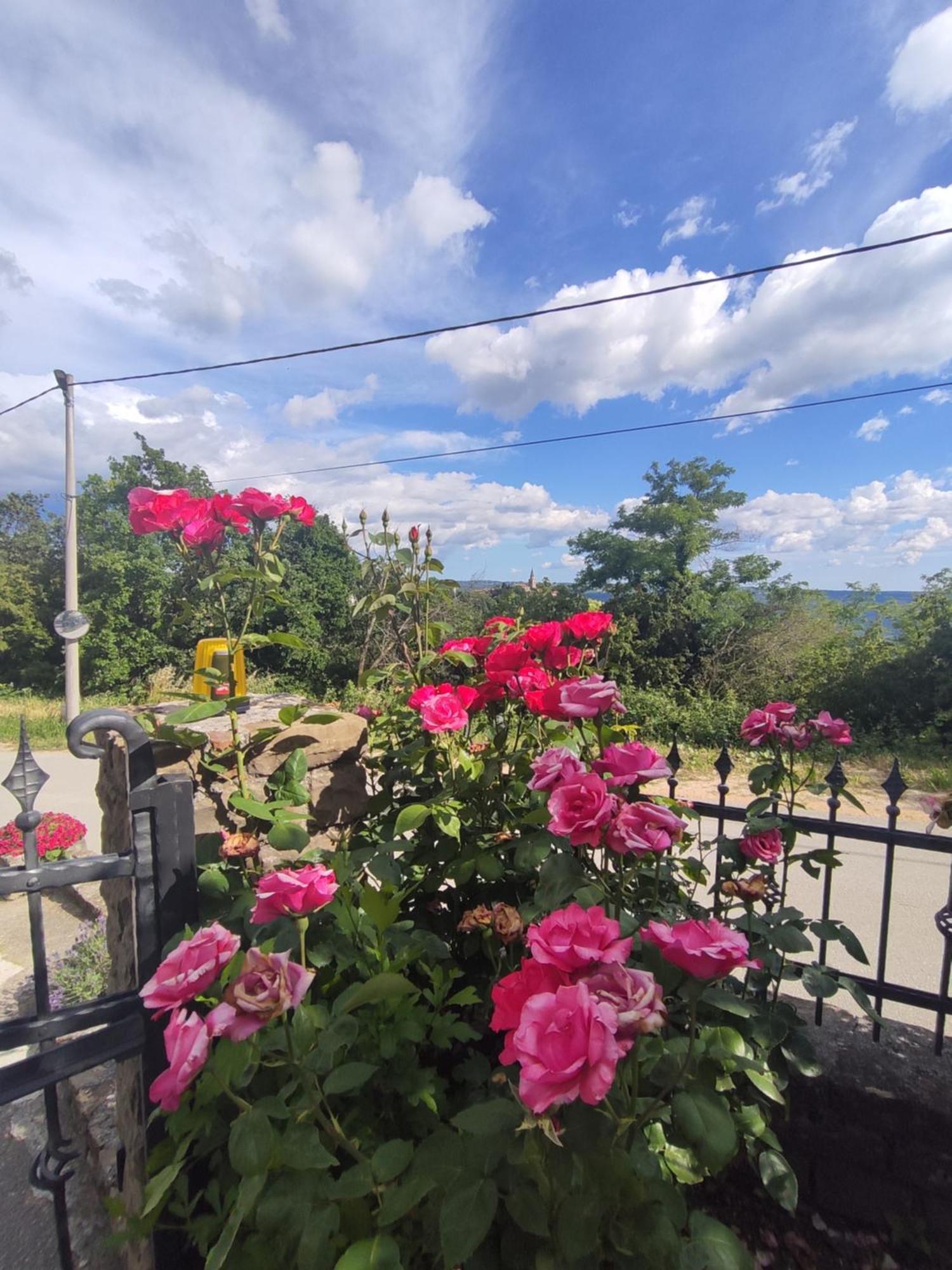 Apartman Villa Romana Groznjan Luaran gambar